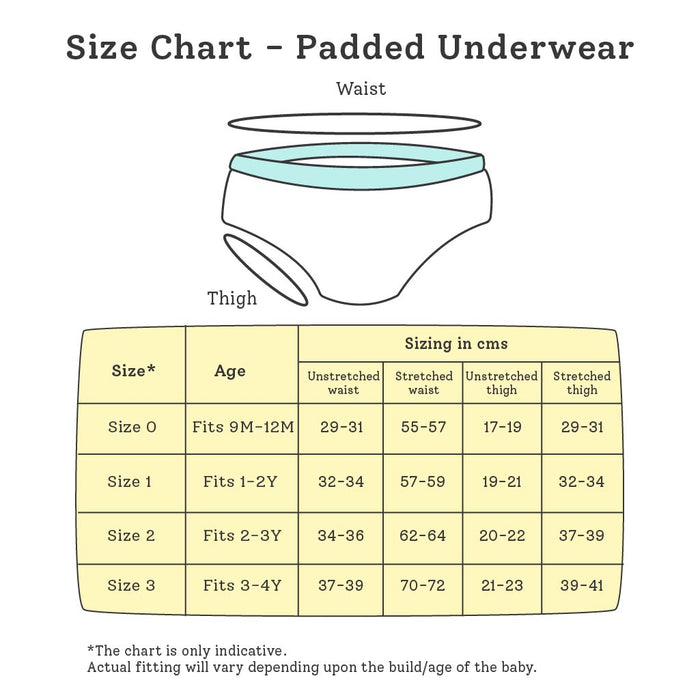 Padded Underwear - Semi Waterproof Pull up Underwear/Potty Training Pants (Pack of 3)