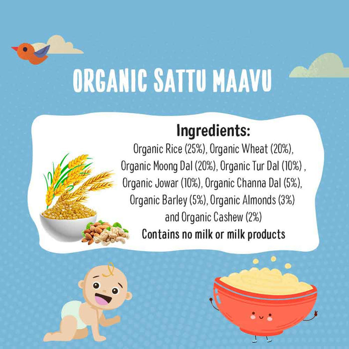 Organic Sattu Maavu Porridge