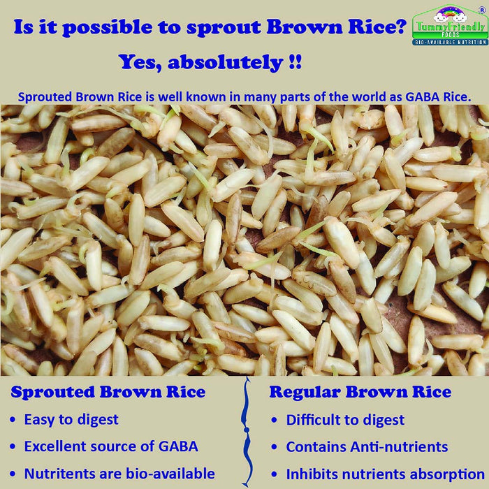Sprouted Brown Rice, Moong Dal Porridge Mix