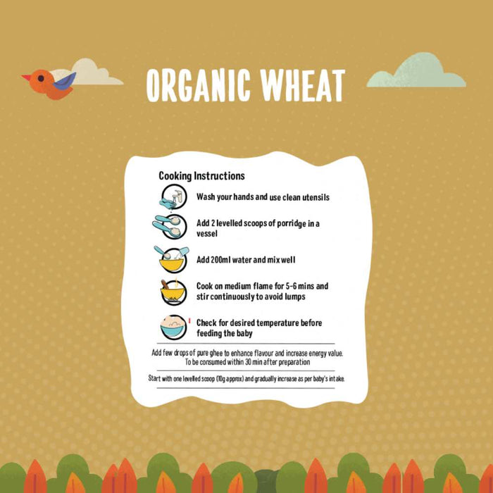 Organic Wheat Porridge and Organic Rice Porridge