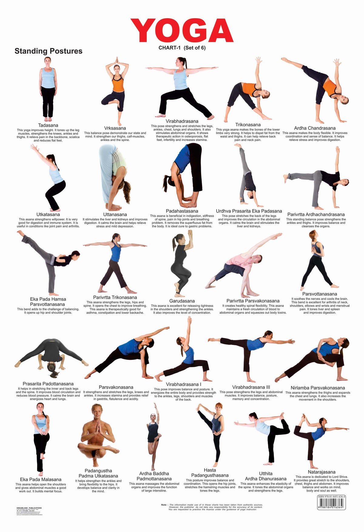 Michael Jespersen Yoga - Asana PosterChart Laminated; Yoga Poster, India |  Ubuy