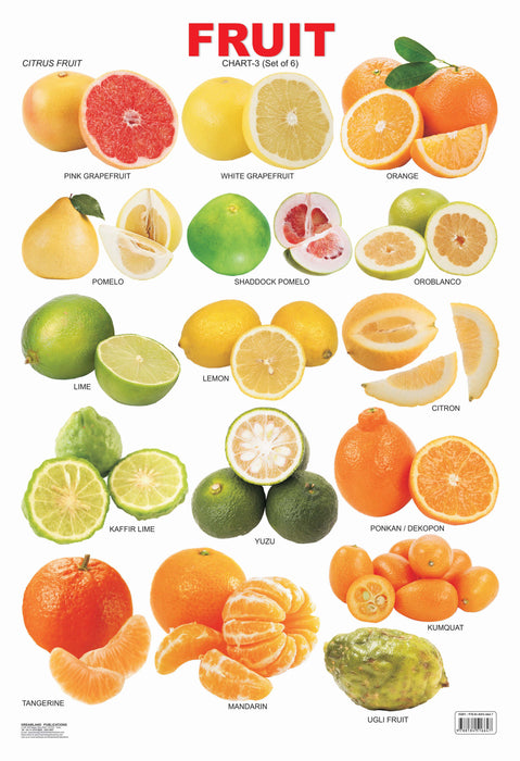 Fruit Chart - 3