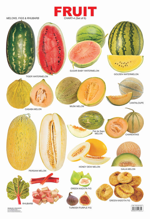 Fruit Chart - 4