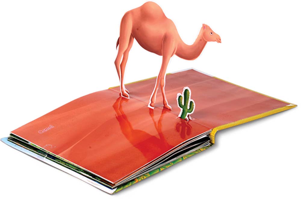 Animals Pop-up Book