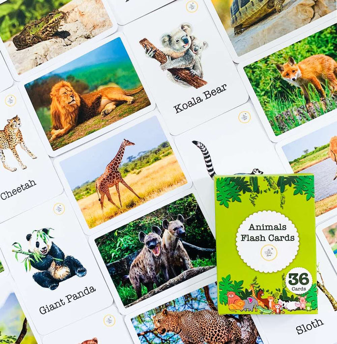 Nature Combo Flash Cards Pack: Learn about Animals, Birds and Bugs