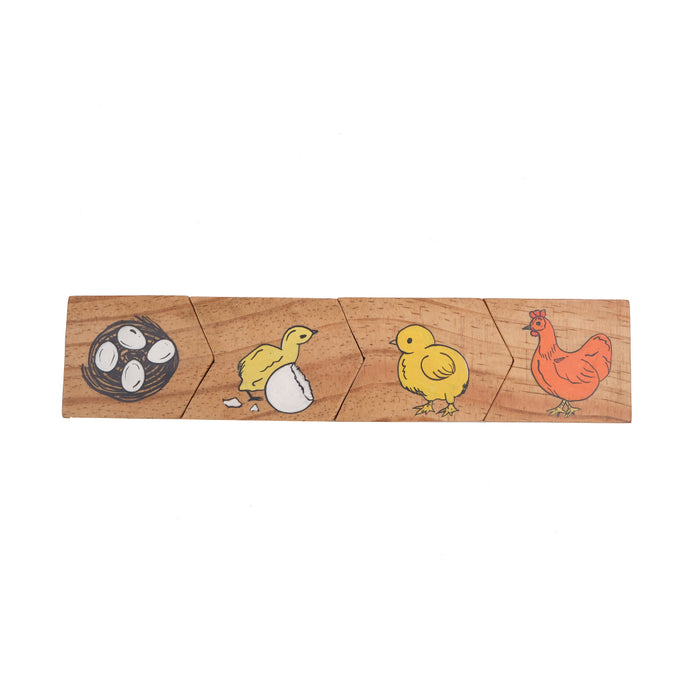 Lifecyle of animals and plants puzzle set of 4