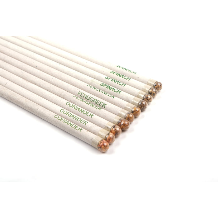 Set of 10 plantable pencils