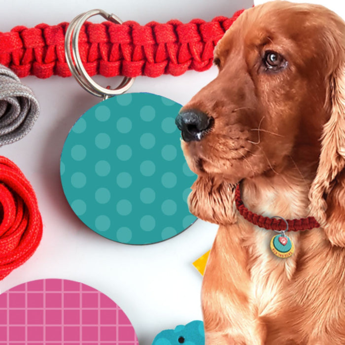 Art and Craft DIY Gift - Dog Collar and Fleece Tug Toy