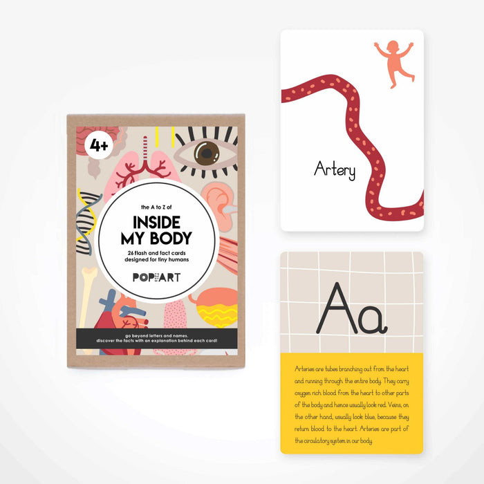 Flash & Fact Cards - Inside My Body