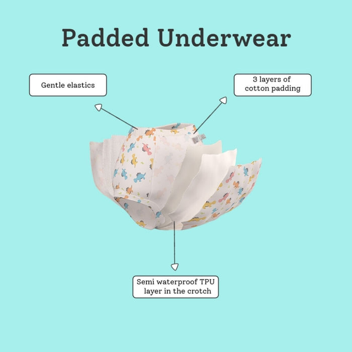 Padded Underwear - Explorer Collection (Pack of 12)